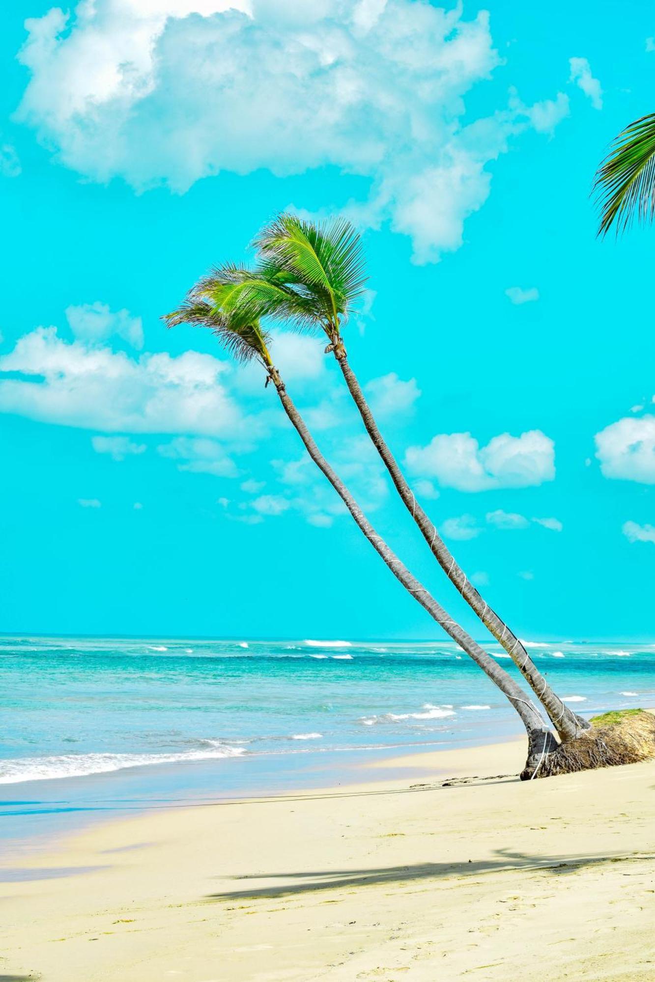 Playa Palmera Beach Resort Punta Cana Exteriér fotografie
